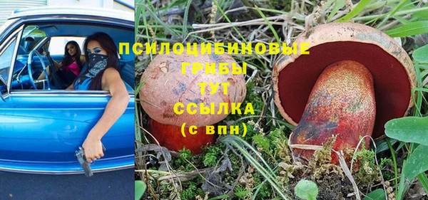 а пвп мука Алексин